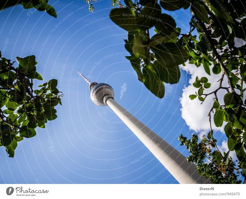 Grün Stadt Hauptstadt Stadtzentrum Architektur Sehenswürdigkeit Wahrzeichen Fernsehturm blau grün weiß Berlin Baum Blätterdach Wolken Himmel Farbfoto