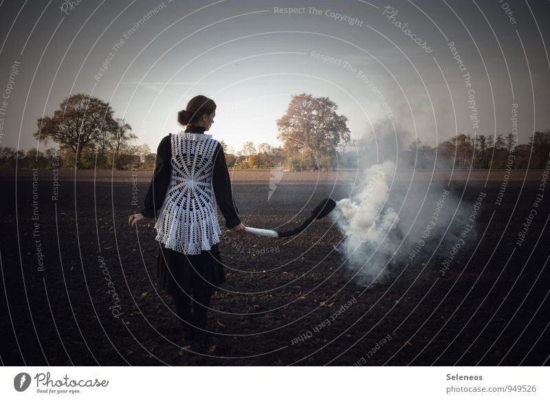 verbrannte Erde Landwirtschaft Forstwirtschaft Mensch Frau Erwachsene 1 Umwelt Natur Landschaft Horizont Herbst Feld Streichholz Vergänglichkeit Brand Rauch