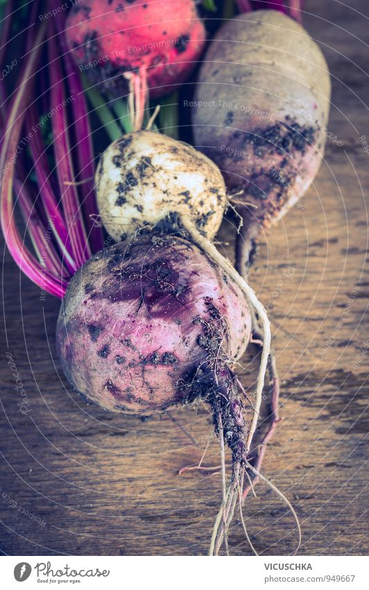 Rüben Bündel verschiedene Farben mit Erde und Wurzeln Lebensmittel Gemüse Ernährung Bioprodukte Vegetarische Ernährung Diät Stil Design Gesunde Ernährung Sommer