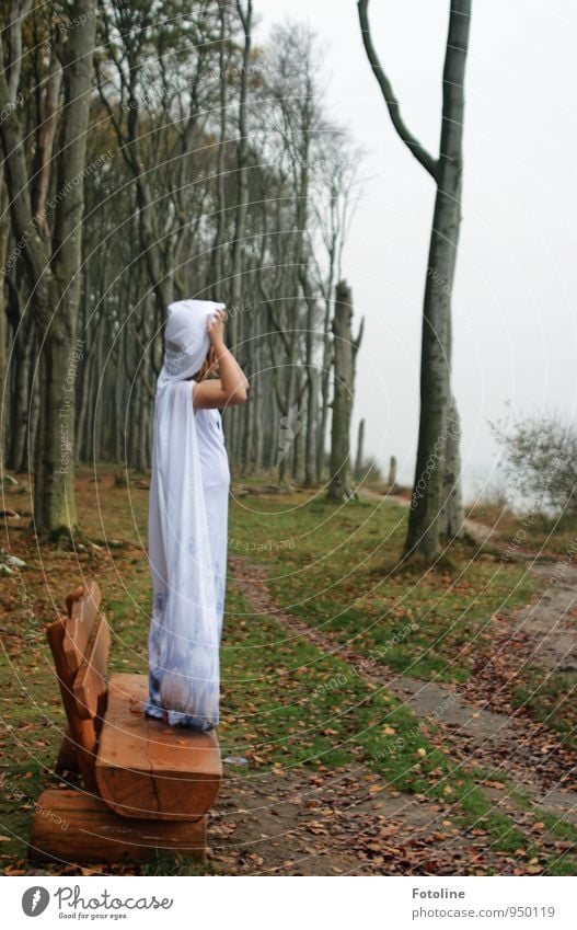 bessere Aussicht Mensch feminin Mädchen Junge Frau Jugendliche Körper Arme 1 Umwelt Natur Landschaft Pflanze Urelemente Erde Himmel Herbst Baum Wald ästhetisch