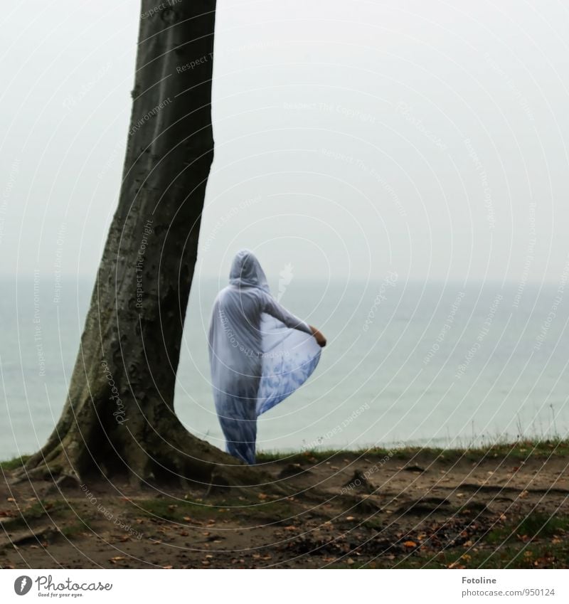 Tanz mit dem Meer Mensch feminin Junge Frau Jugendliche 1 Umwelt Natur Landschaft Pflanze Urelemente Erde Wasser Herbst Baum Küste Strand Ostsee ästhetisch