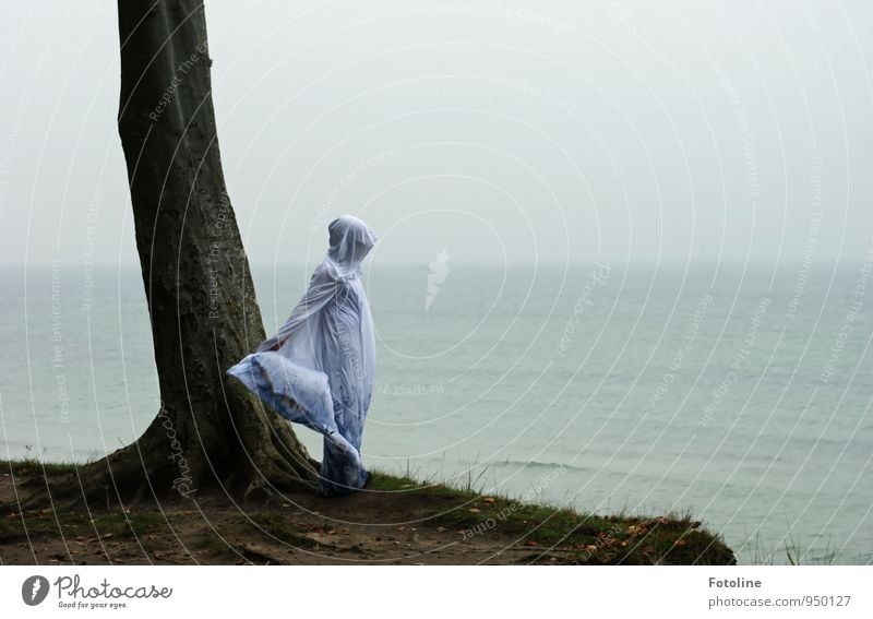 Tanz mit dem Meer II Mensch feminin Junge Frau Jugendliche 1 Umwelt Natur Landschaft Pflanze Urelemente Erde Wasser Himmel Herbst Baum Küste Strand Ostsee grau