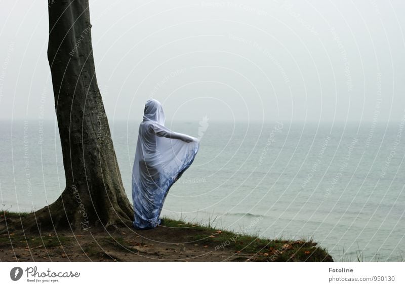 Dort Mensch feminin Junge Frau Jugendliche 1 Umwelt Natur Landschaft Pflanze Urelemente Erde Wasser Himmel Herbst Baum Küste Ostsee Meer natürlich Umhang Kapuze