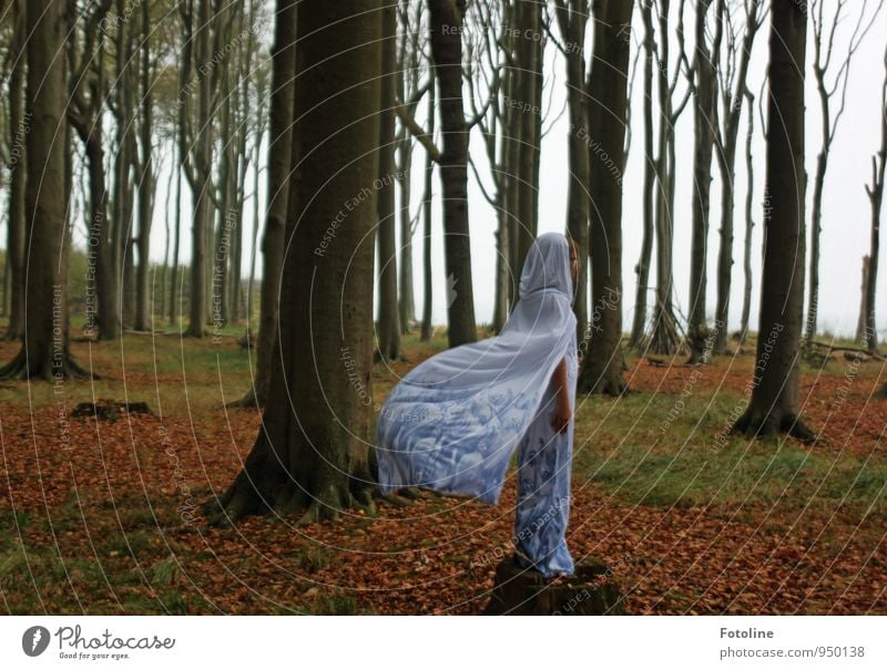 Warten! Mensch feminin Junge Frau Jugendliche 1 Umwelt Natur Landschaft Erde Herbst Pflanze Baum Wald kalt natürlich weiß Umhang Kleid kleidsam Kapuze wehen