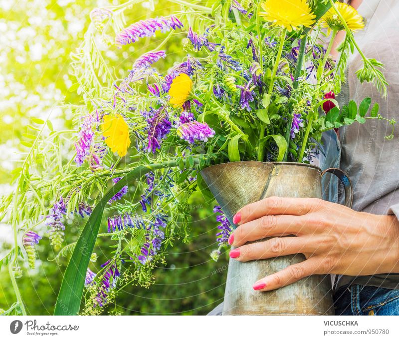 Wilde Sommerblumen im alten Krug in der Hand Lifestyle Leben Freizeit & Hobby Garten Dekoration & Verzierung Mensch Frau Erwachsene Natur Pflanze Sonnenlicht