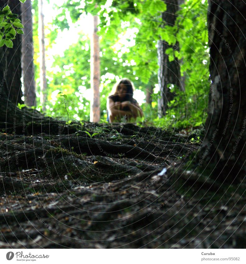 Sittin' waitin' wishin'.... Wald Holzmehl Frau Licht grün Sehnsucht Langeweile Erholung Frühling Sommer Sonne hell Einsamkeit