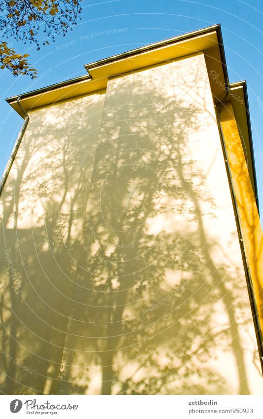 Unbekanntes Gebäude Herbst Himmel Klima Blatt Herbstlaub Natur Oktober Wetter Haus Wohnhaus Wohnhochhaus Wand meuer Fassade Brandmauer Froschperspektive