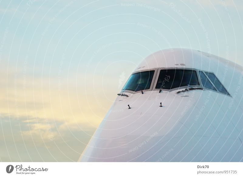 Dicker Brummer Ferien & Urlaub & Reisen Ferne Luftverkehr Technik & Technologie High-Tech Himmel Wolken Sonnenaufgang Sonnenuntergang Schönes Wetter Verkehr