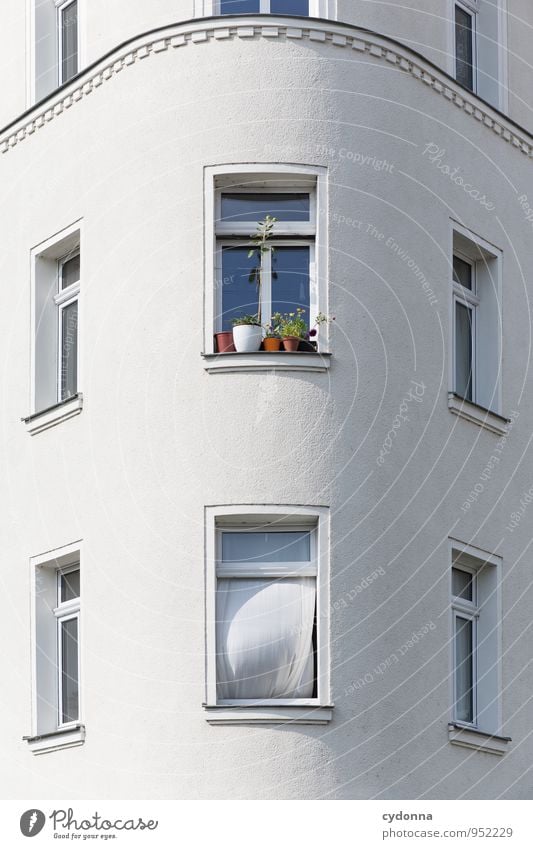 Frischer Wind Lifestyle Häusliches Leben Wohnung Dekoration & Verzierung Frühling Grünpflanze Altstadt Haus Architektur Fassade Fenster Beratung Idee Stadt