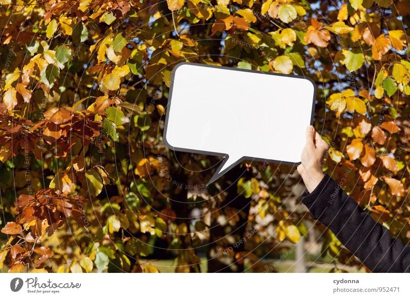 Hier könnte Ihre Nachricht stehen. Lifestyle Leben Ausflug Freiheit Mensch Arme Umwelt Natur Herbst Baum Schilder & Markierungen Beratung erleben Erwartung Idee