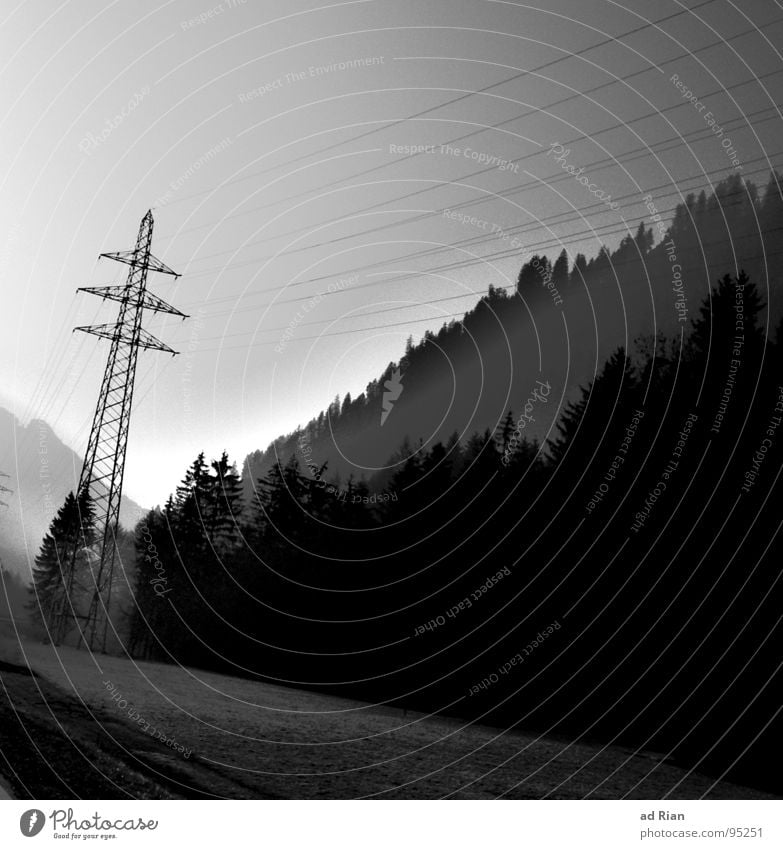 morgenstund hat mold im gund Wald Baum Tanne Buche Elektrizität Stahl Beton Wolken Winter Industrie Kiefer Seil enrgie Strommast Natur Sonne Regen Nebel Morgen