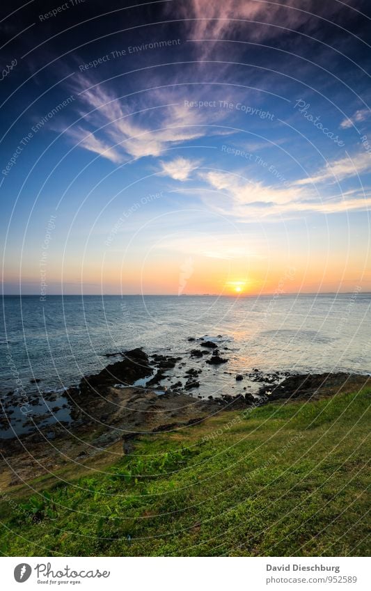 Am Farol de Bahia Ferien & Urlaub & Reisen Sommerurlaub Landschaft Wasser Himmel Wolken Horizont Schönes Wetter Gras Wellen Küste Bucht Riff Meer Insel blau