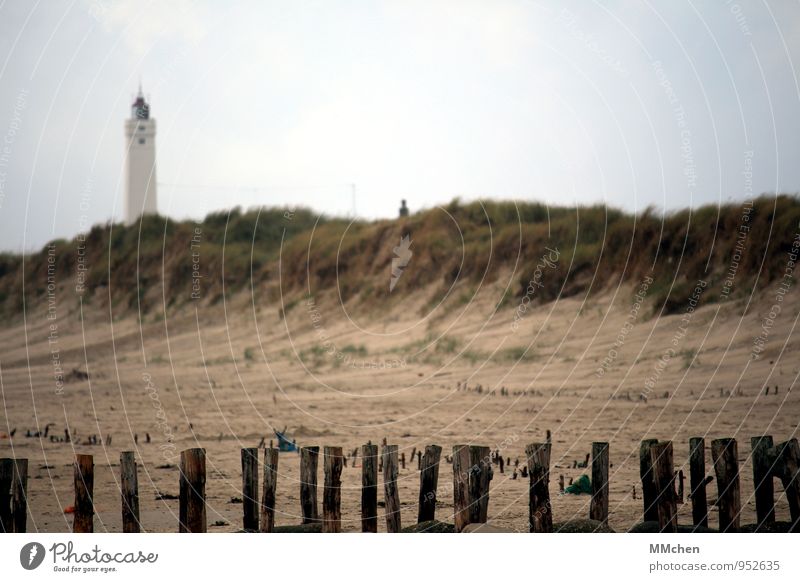 HindernisParcours Freizeit & Hobby Ferien & Urlaub & Reisen Tourismus Ausflug Strand Meer Natur Sand Himmel Herbst Gras Hügel Küste Nordsee entdecken Erholung