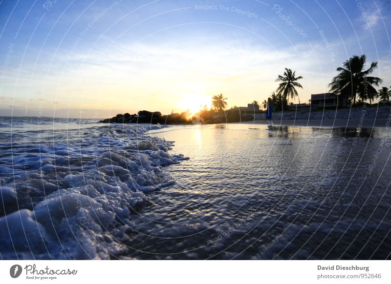 Romantische blaue Stunde Ferien & Urlaub & Reisen Ferne Sommerurlaub Wellen Landschaft Wasser Himmel Wolken Schönes Wetter Pflanze Küste Meer Insel gelb schwarz