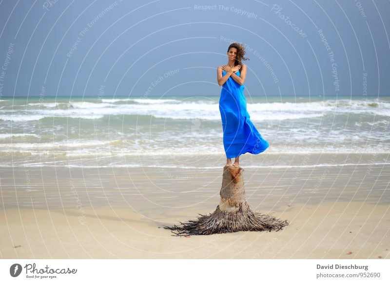 Ruhen Ferien & Urlaub & Reisen feminin Junge Frau Jugendliche 1 Mensch 18-30 Jahre Erwachsene Landschaft Wasser Horizont Sommer Schönes Wetter Wind Baum Wellen