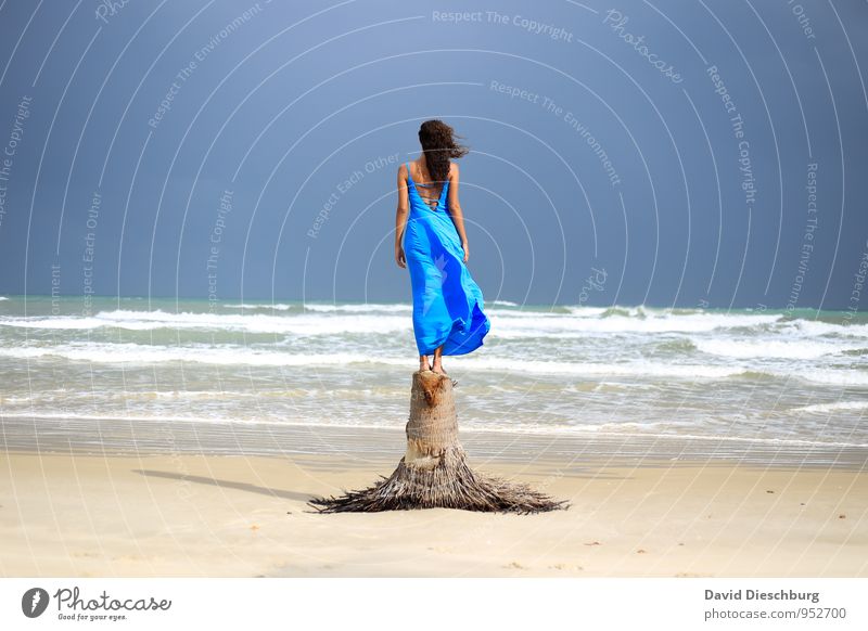 Genießen Ferien & Urlaub & Reisen feminin Junge Frau Jugendliche 1 Mensch 18-30 Jahre Erwachsene Landschaft Himmel Horizont Sommer Schönes Wetter Wind Baum