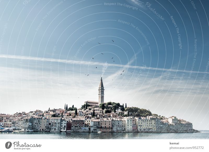 Rovinj Ferien & Urlaub & Reisen Tourismus Ausflug Sightseeing Halbinsel Istrien Himmel Wolken Sonne Sonnenlicht Sommer Schönes Wetter Küste Meer Stadt Altstadt