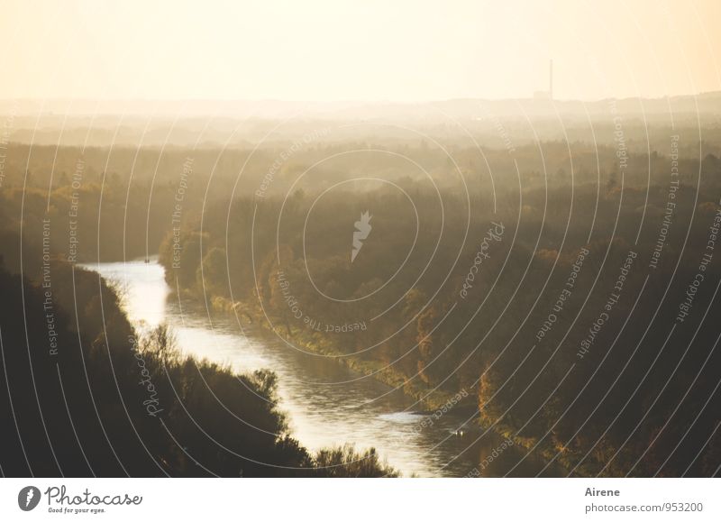 Isarleuchten Landschaft Luft Wasser Sonnenaufgang Sonnenuntergang Sonnenlicht Wald Fluss Auwald braun gold weiß fließen ruhig hellbraun sanft dunstig Dunst