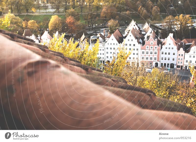 von oben herab Landshut Stadt Altstadt Haus Altstadthaus Häuserzeile Dach Dachziegel Ziegeldach Dachgiebel Giebelseite beobachten Blick historisch braun gold