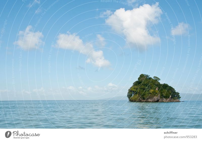 Ah jetzt, ja! Umwelt Natur Landschaft Pflanze Himmel Wolken Schönes Wetter Baum Grünpflanze exotisch Meer Insel Oase Tourismus Ferien & Urlaub & Reisen