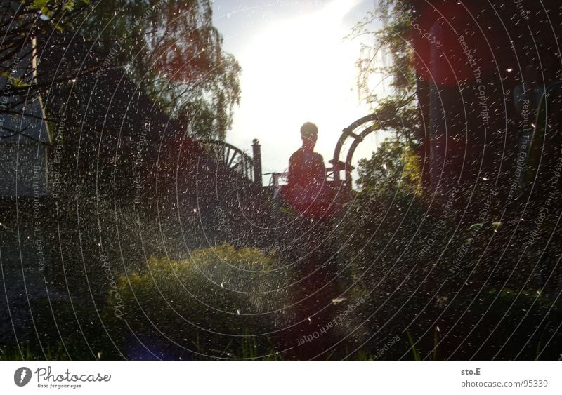 fürn jarten reichts! Sonnenstrahlen Schatten Gießkanne Wasserstrahl Baum Sträucher Grill grün Zaun Bogen Blume Ranke Einfamilienhaus Osten Hoppegarten Dorf