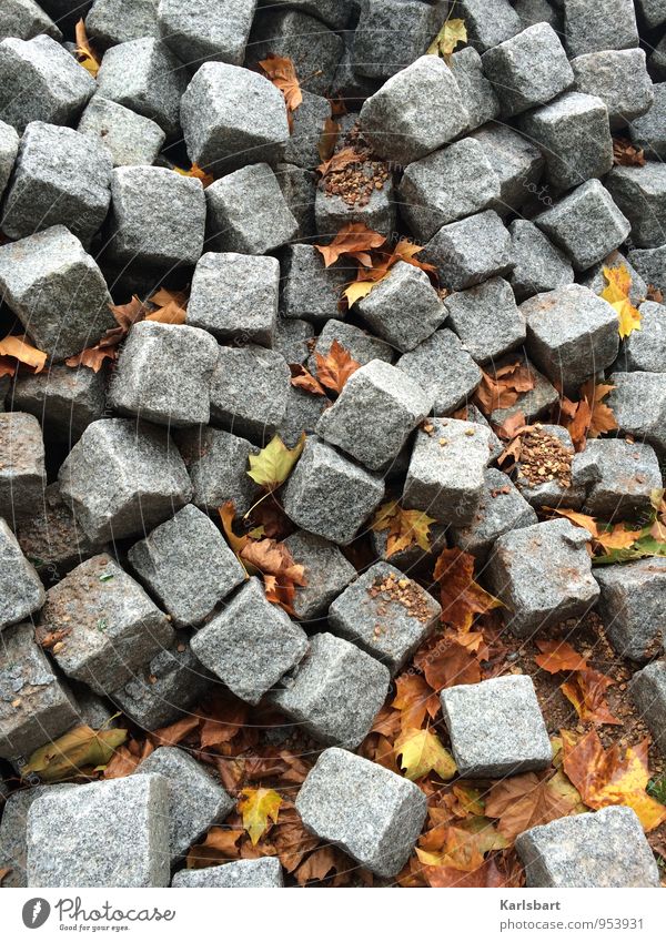 Stein und Herbst Arbeit & Erwerbstätigkeit Arbeitsplatz Baustelle Arbeitslosigkeit Ruhestand Feierabend Blatt Dorf Stadtzentrum Stadtrand Altstadt Fußgängerzone