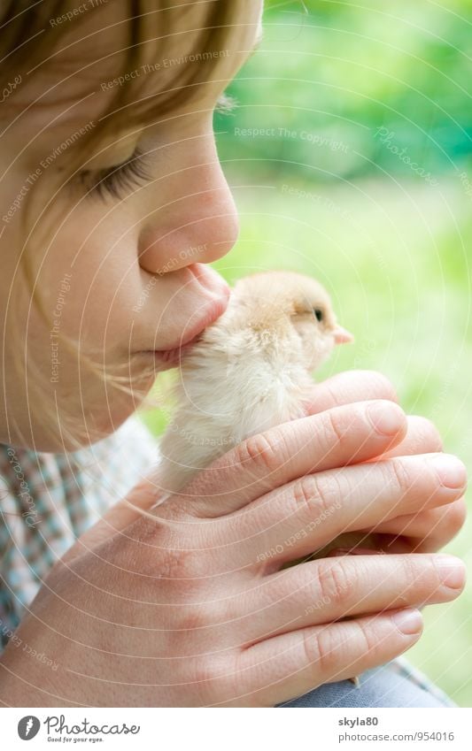 Tierliebe Mädchen Kind Freude Kindheit Kindheitserinnerung Haare & Frisuren Haushuhn Küken festhalten Sicherheit Geborgenheit Hand Wärme Warmherzigkeit Liebe