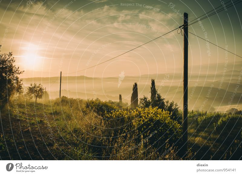 Tuscia {4} harmonisch Erholung ruhig Ferien & Urlaub & Reisen Tourismus Ferne Sommer Sommerurlaub Sonne Hochspannungsleitung Umwelt Natur Landschaft Himmel