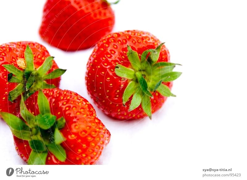 strawberries rot Frucht red fresh group mehrere fruit fruchte