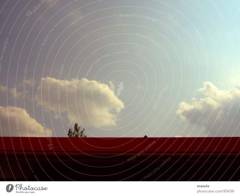 emporkoemmling Wolken Dach Baum Baumkrone Sommer Schüchternheit Einsamkeit Isolierung (Material) träumen Himmel Natur hervorheben verstecken hinauswachsen