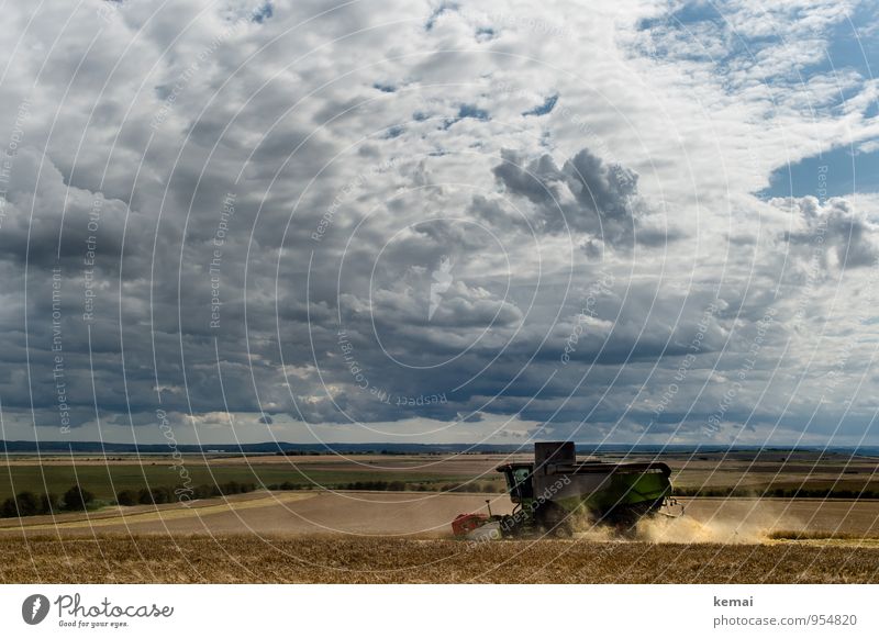 Wer Wind sät, wird Sturm ernten. Sommer Umwelt Landschaft Himmel Wolken Gewitterwolken Sonnenlicht Wetter Unwetter Nutzpflanze Feld fahren dunkel Ernte