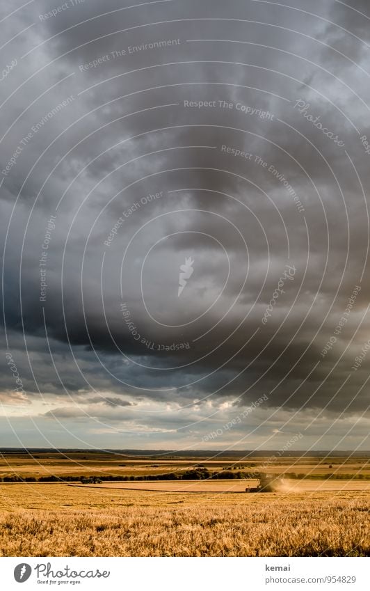 Make hay [while the sun shines] Sommer Landwirtschaft Forstwirtschaft Umwelt Natur Landschaft Wolken Gewitterwolken Sonnenlicht Wetter Unwetter Feld Fahrzeug