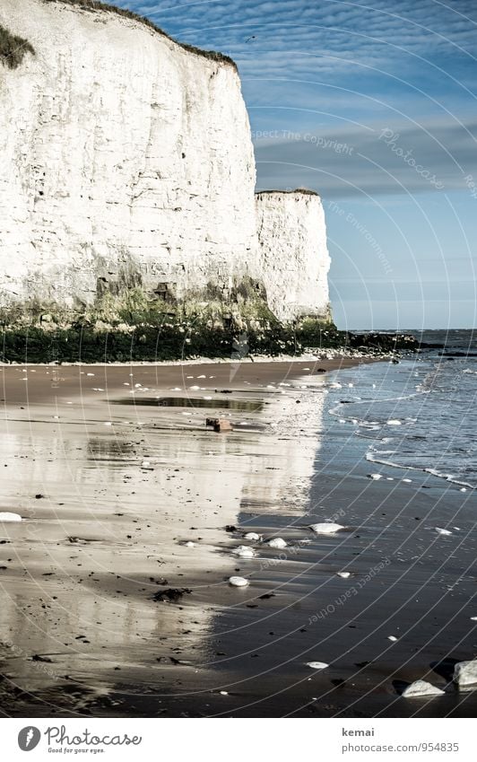 White cliffs Ferien & Urlaub & Reisen Tourismus Ausflug Abenteuer Freiheit Sommer Strand England Kent Umwelt Natur Landschaft Wasser Himmel Wolken Sonnenaufgang