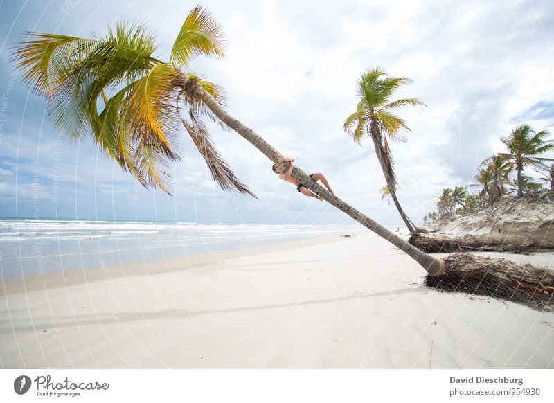 Klammeraffe Ferien & Urlaub & Reisen Ferne Sommerurlaub Sonnenbad Körper 1 Mensch Landschaft Sand Wasser Himmel Wolken Horizont Schönes Wetter Baum Wellen Küste