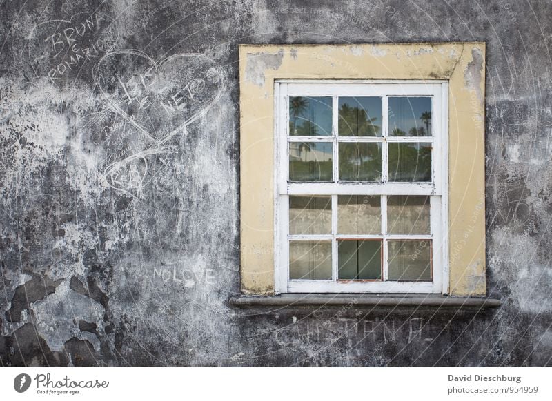 Brasil window Ferien & Urlaub & Reisen Sommerurlaub Mauer Wand Fassade Fenster blau gelb grau schwarz weiß einzigartig Brasilien Fensterscheibe Herz Graffiti