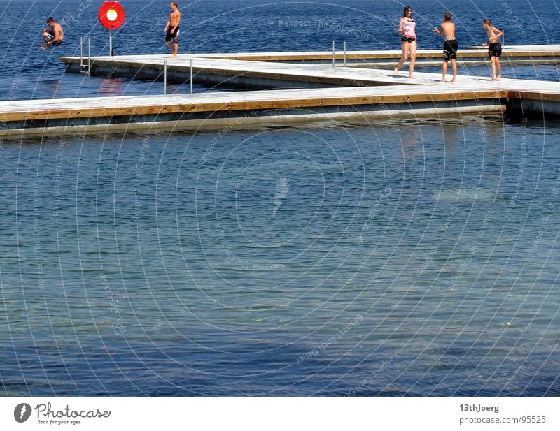 Badeanlage See Kulkwitzer See Leipzig Sommer Steg springen Fröhlichkeit Spielen Wege & Pfade Wellen Ferien & Urlaub & Reisen Schwimmen & Baden frisch