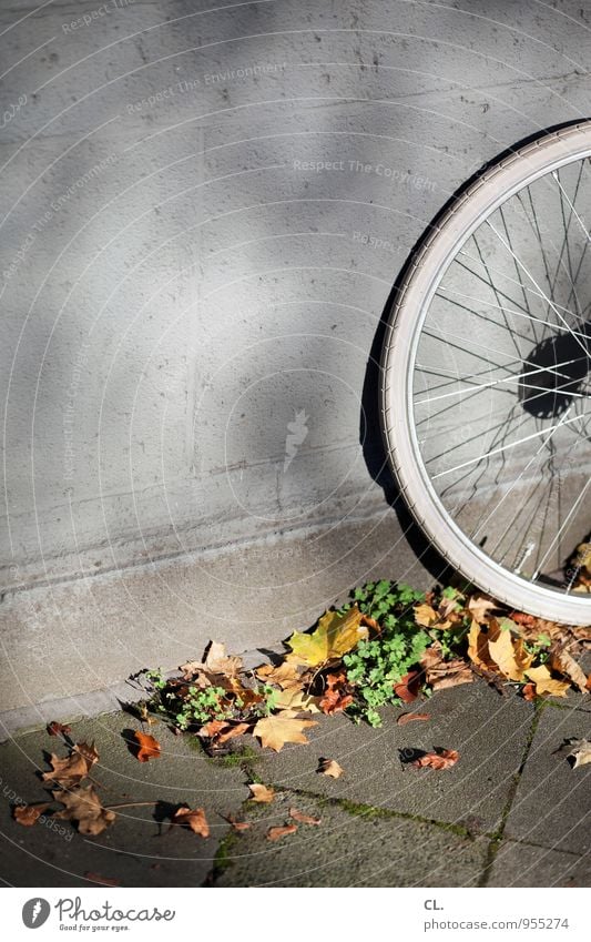 kommt zeit dreht rad Freizeit & Hobby Sport Fahrradfahren Umwelt Natur Herbst Schönes Wetter Blatt Mauer Wand Verkehr Verkehrsmittel Verkehrswege Straße