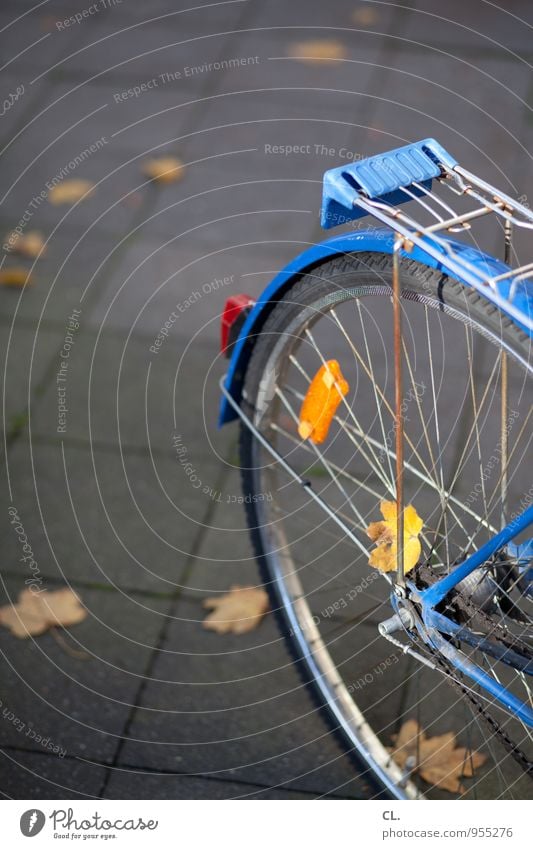 rund ums rad Freizeit & Hobby Fahrradfahren Herbst Blatt Verkehr Verkehrsmittel Verkehrswege Straßenverkehr Wege & Pfade Bürgersteig Fahrradsattel Fahrradreifen