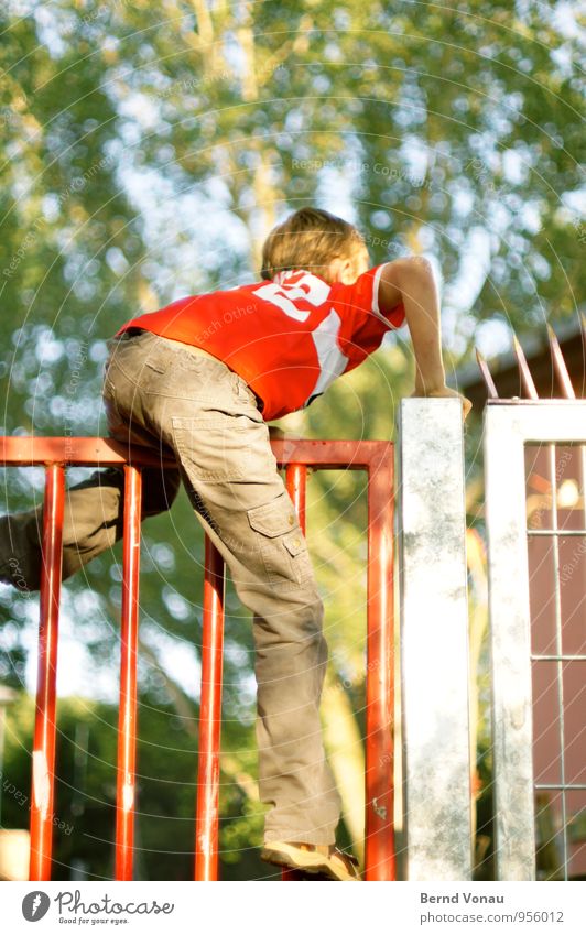 Hürde ... Sonne Klettern Bergsteigen Kind Mensch maskulin Junge Kindheit Beine 3-8 Jahre Schönes Wetter Baum Hose blond Stahl hoch wild blau grün rot Verbote