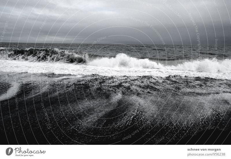 Wasserfluten Umwelt Natur Landschaft Urelemente Wolkenloser Himmel Klima Wind Sturm Wellen Küste Nordsee Ostsee Meer Insel Island Gefühle Kraft Willensstärke