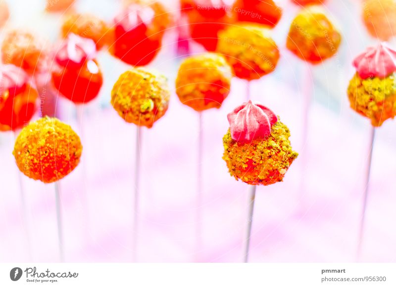 Niedliche Lutscher für Kinder Lebensmittel Dessert Süßwaren Ernährung Essen Büffet Brunch Diät Kakao Geburtstag Koch Zähne grün rosa rot weiß Gefühle Liebe