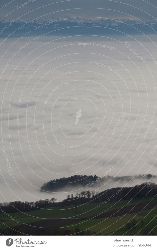 Fernsicht 1 Natur Landschaft Wolken Herbst Nebel Baum Feld Alpen Berge u. Gebirge Schneebedeckte Gipfel träumen wandern außergewöhnlich Ferne Unendlichkeit kalt