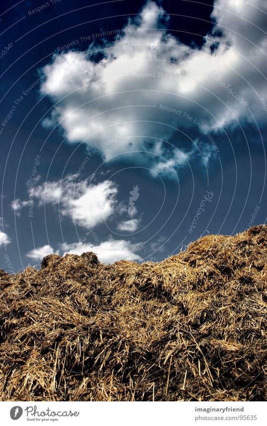 silver Wolken Länder Misthaufen Düngung Landwirtschaft Feld Himmel Landschaft country field sky clouds Amerika