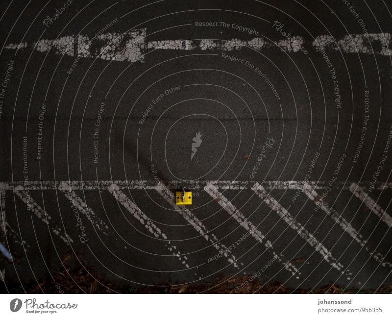 One way Straßenverkehr Verkehrszeichen Verkehrsschild Pfeil Parkverbot Warnschild Fahrbahnmarkierung Einbahnstraße Asphalt Farbstoff fahren verblüht dunkel