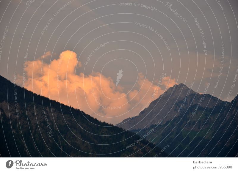 Abendwolken in den Bergen Umwelt Natur Landschaft Urelemente Himmel Wolken Sonne Sommer Alpen Berge u. Gebirge genießen leuchten dunkel hell hoch Stimmung