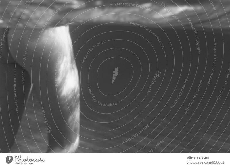 subaquatique Kunst ästhetisch Zufriedenheit Wasseroberfläche Meer Meerwasser Meerjungfrau Meerestiefe Meeresboden Meeresspiegel Frau Frauenkörper Gesäß Erotik