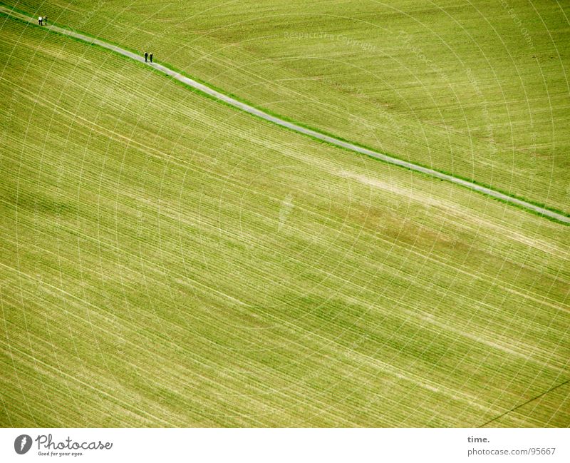 Bäuerliche Arithmetik (mit Bauer) Strukturen & Formen Wellen Feld Straße Wege & Pfade grün Ernte spät fließen entgegengesetzt sanft ausbringen Furche