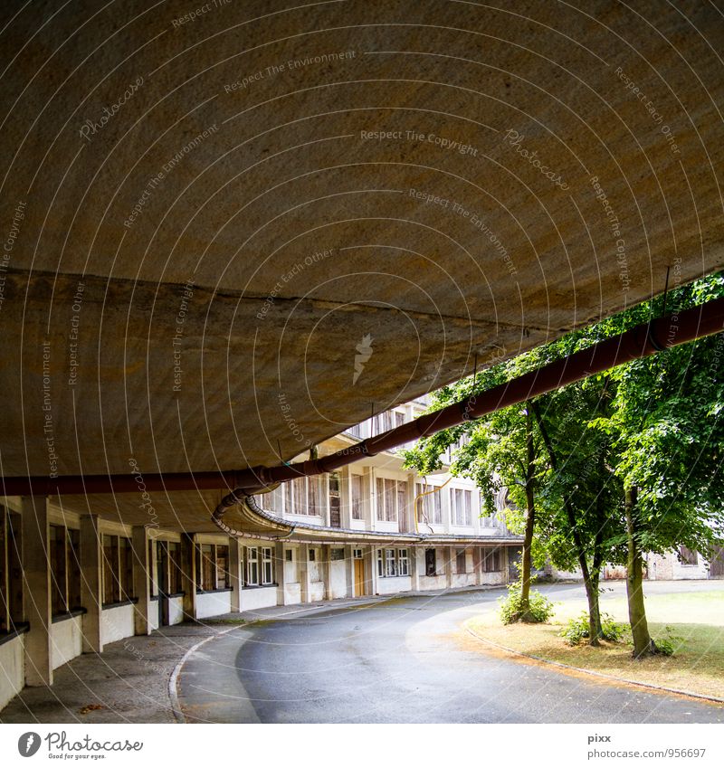 schön wars harmonisch ruhig Ausflug Freiheit Städtereise Sommer Renovieren Pflanze Mauer Wand Fassade Dach Straße Beton Glas alt drehen gehen unten Stadt braun