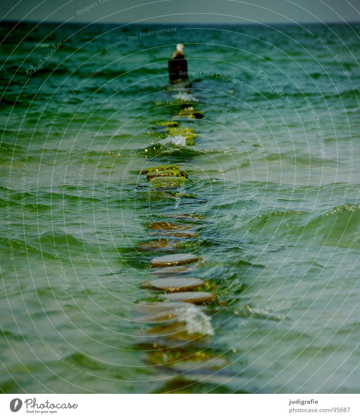 Küste Gischt Wellen Meer Kühlung Ferien & Urlaub & Reisen kalt Holz Möwe nass grün Horizont Strand Wasser spritzen Wassertropfen Ostsee Buhne Pfosten Himmel