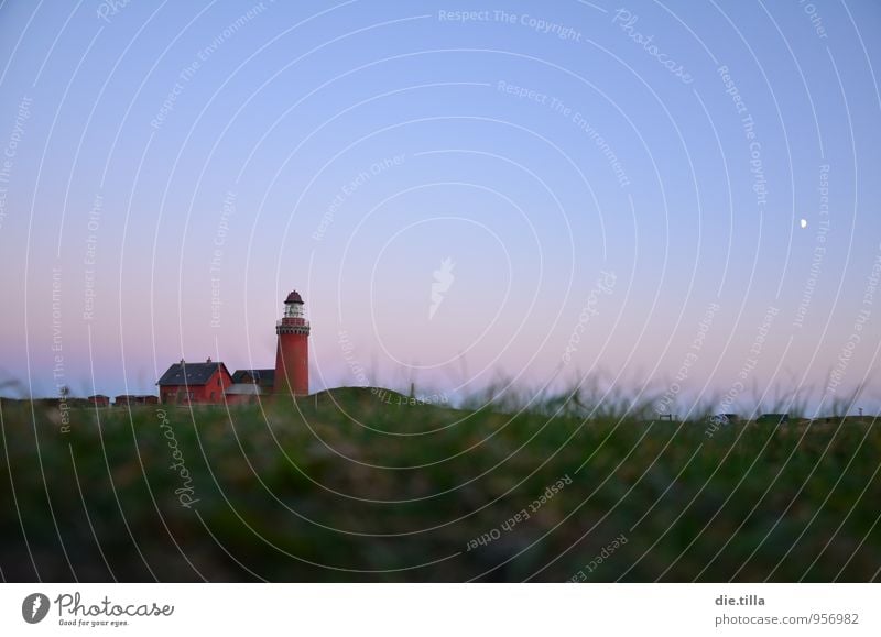 Dämmerungsleuchtturm Landschaft Pflanze Sand Luft Wasser Himmel Wolkenloser Himmel Nachthimmel Mond Gras Hügel Küste Strand Nordsee Leuchtturm Bovbjerg Dänemark